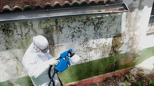 Trusted Commercial Mold Remediation service in Greenbelt, MD - Cheap Mold Removal